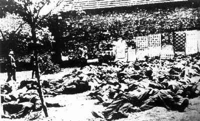 Dobový snímek ze zahrady Horákova statku.