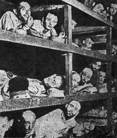 Lidé spali na tříposchoďových palandách v dřevěných barácích původně určených pro koňské stáje.