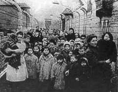 Tyto děti měly štěstí. Nestaly se obětí Mengeleho pokusů ani neskončily v plynových komorách, dočkaly se osvobození.